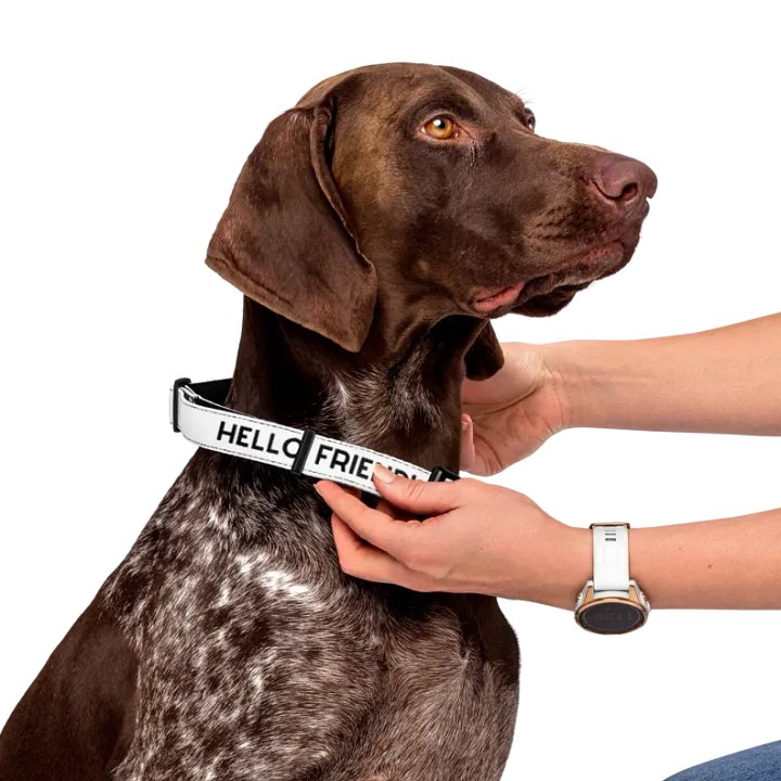 Pet Collar product image (1)
