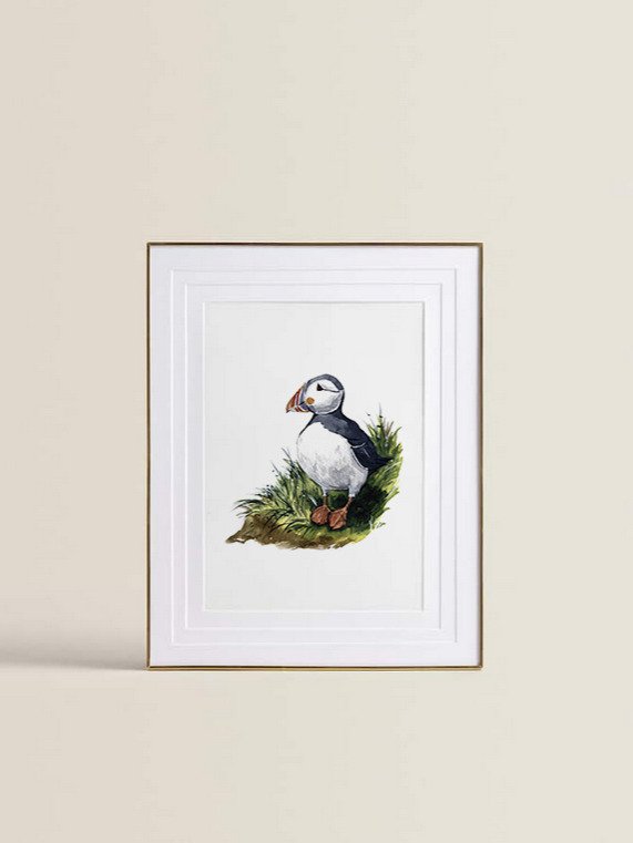 Frailecillo product image (1)
