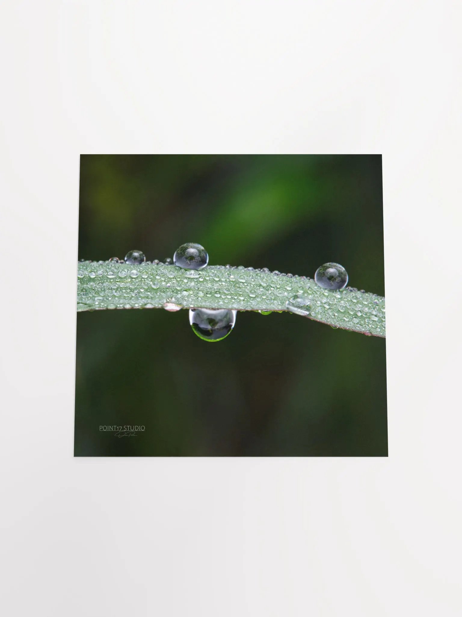 Dew Gems #7 - Print product image (10)