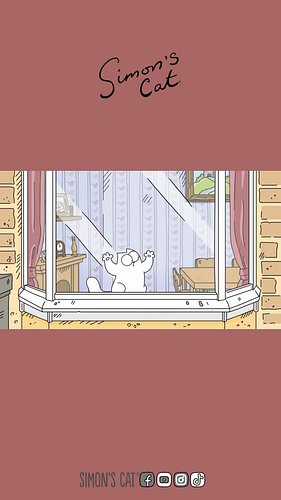 Abandoning the kitties...😼