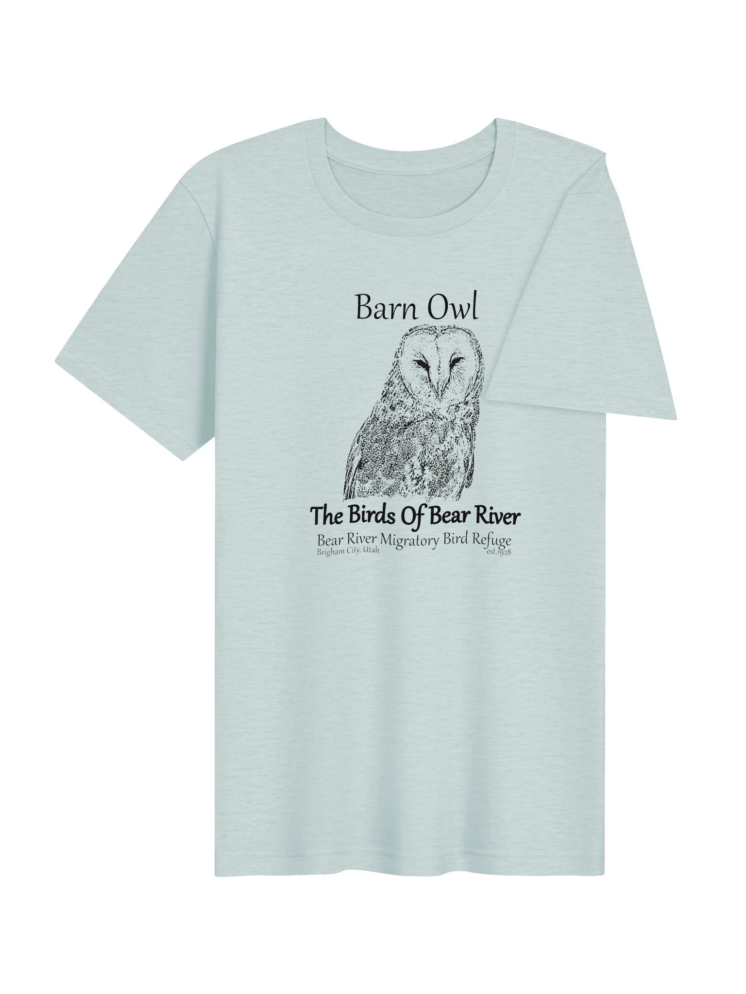 Birds of Bear River Barn Owl T-Shirt product image (116)