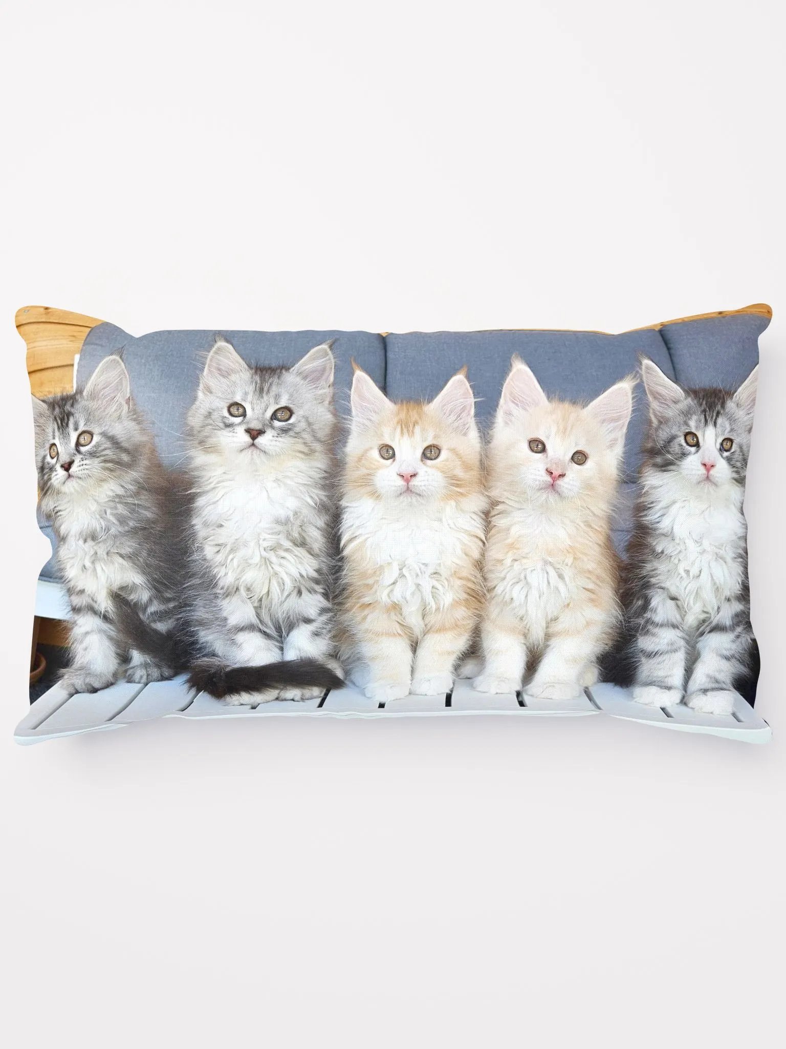 Freya's Kittens (2023) - Pillow product image (5)