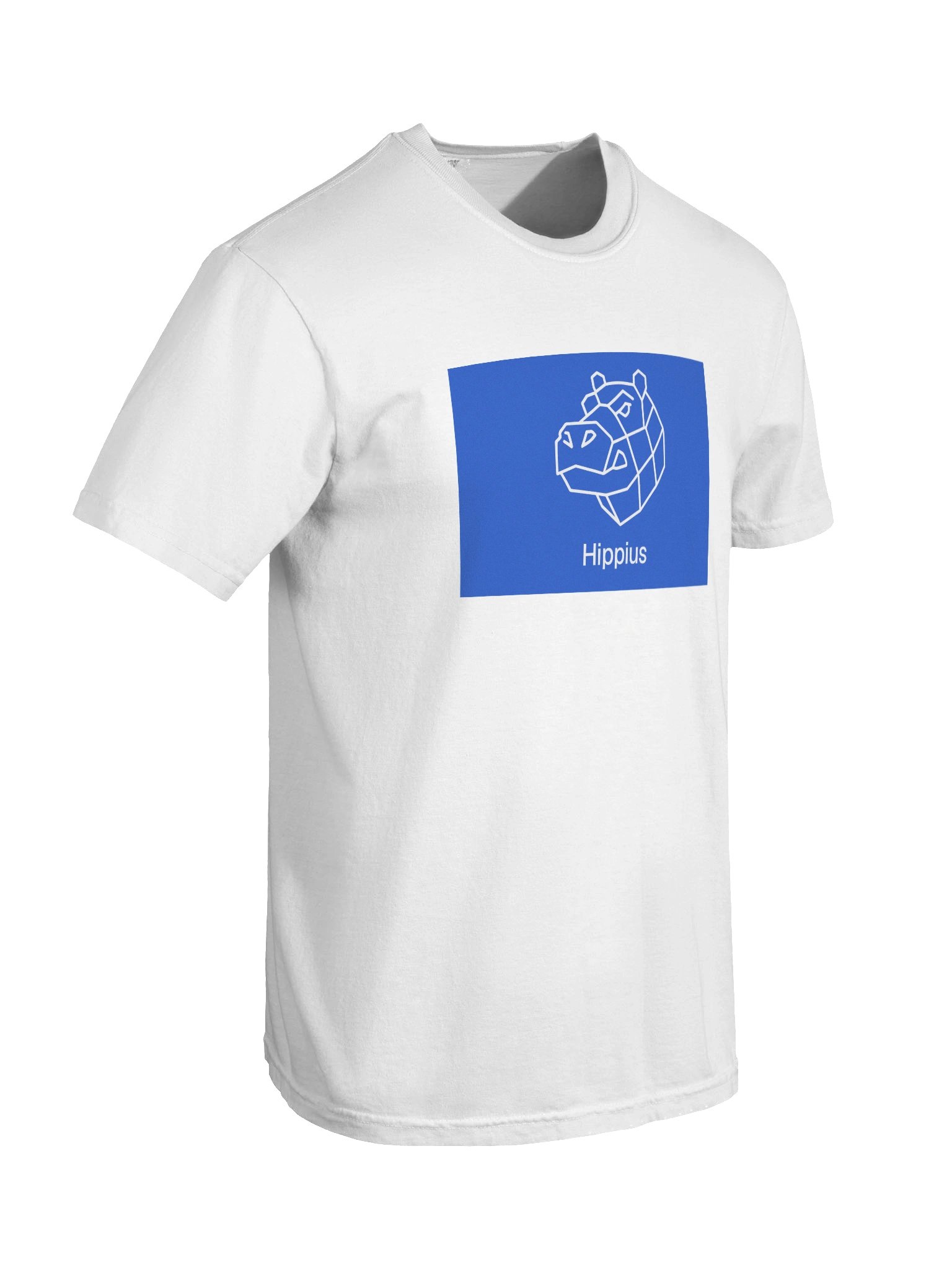 SN75 - Heavyweight T-Shirt product image (8)