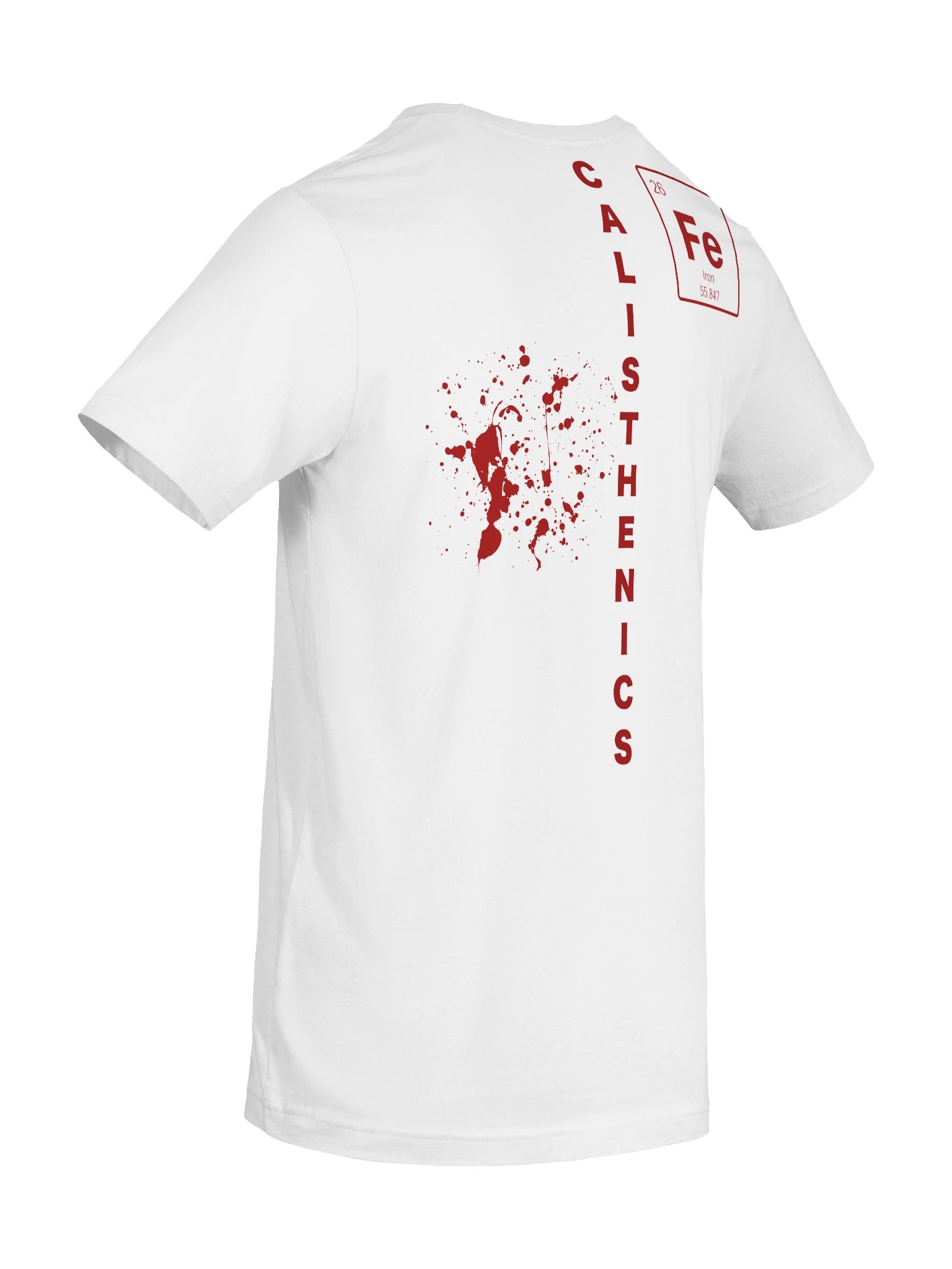 Calisthenics T-Shirt Blood & Iron product image (10)