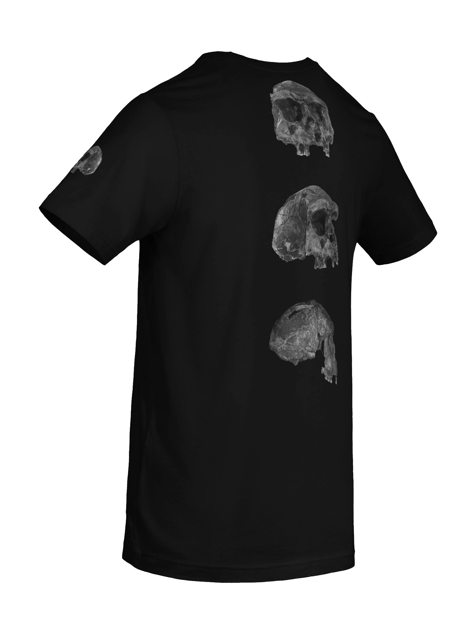 Erectus Fossil Skull T-Shirt Dark product image (46)