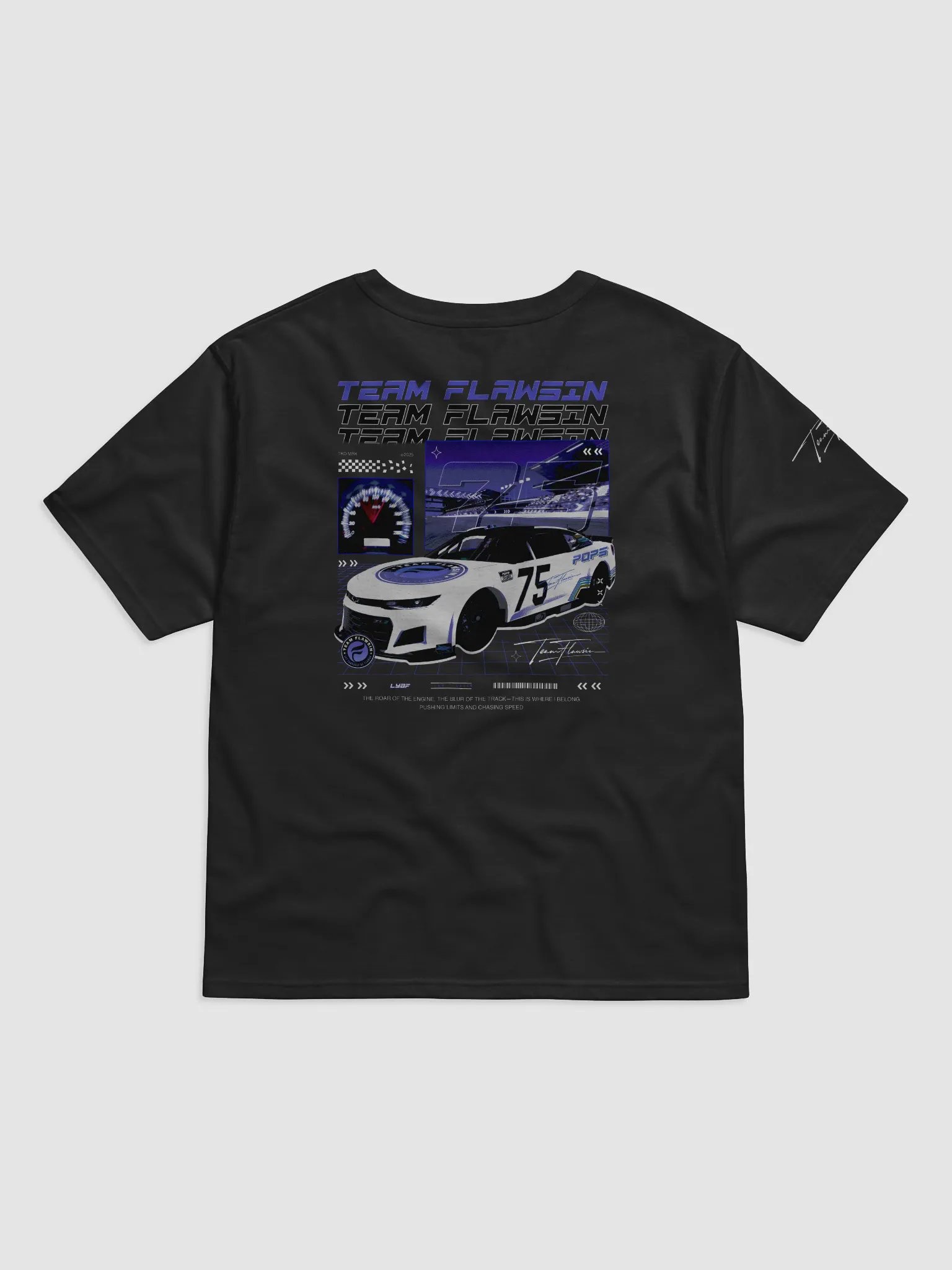 Team Flawsin High Octane Champion Relaxed-Fit Tee product image (2)