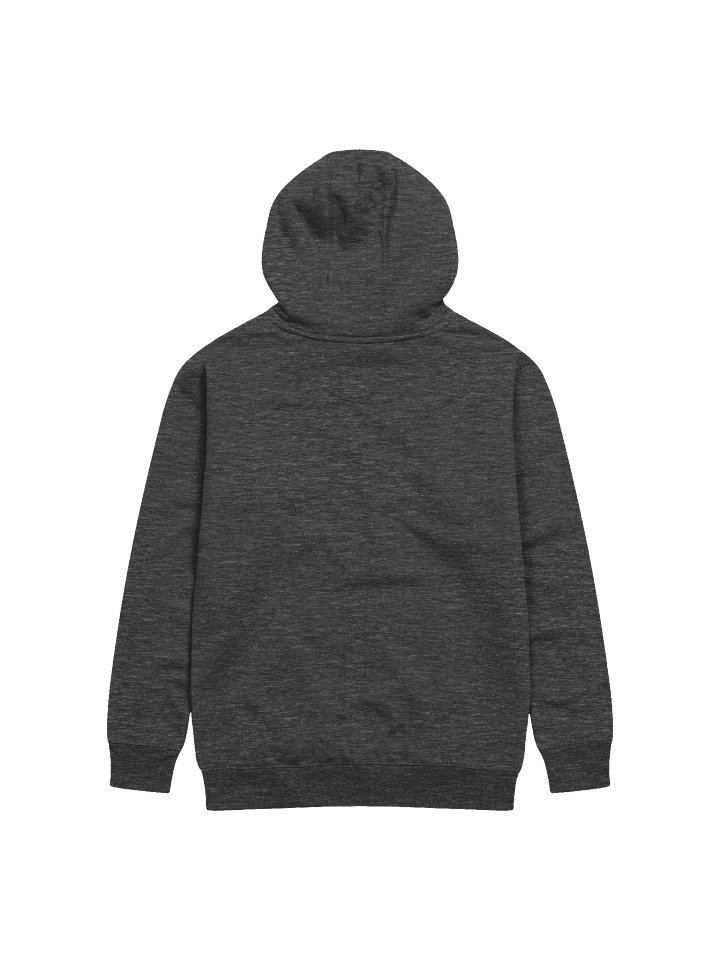 TTGB Hoodie product image (10)