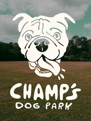 Grab the leash, and take your best friend to the park.

Champ’s Dog Park 

#illustration #graphicdesign #branddesign