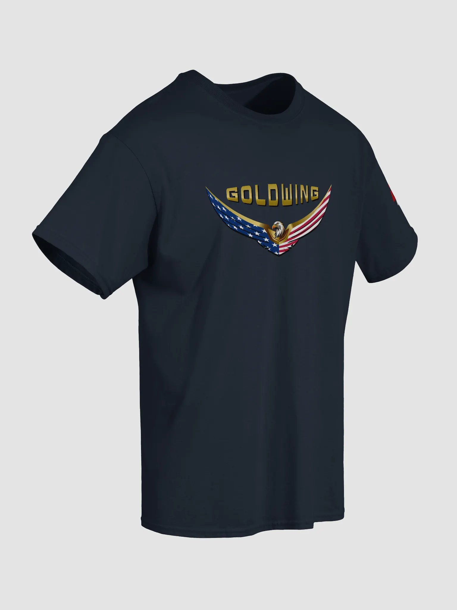 American Eagle -Front and Back - Dark Tee product image (19)