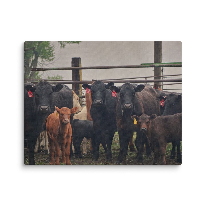The Herd Canvas Print product image (1)