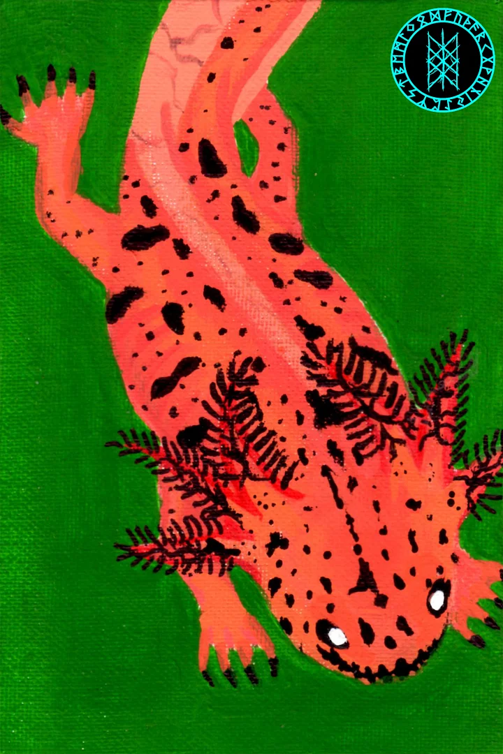 Gone Fission October Spotted Axolotl Canvas Print product image (1)