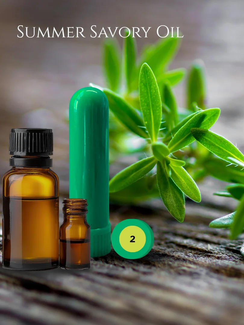 Olfaria Herbs Odor Training Kit | 5 Single-Note Essential Oils | Scent Education | Train Your Nose product image (3)