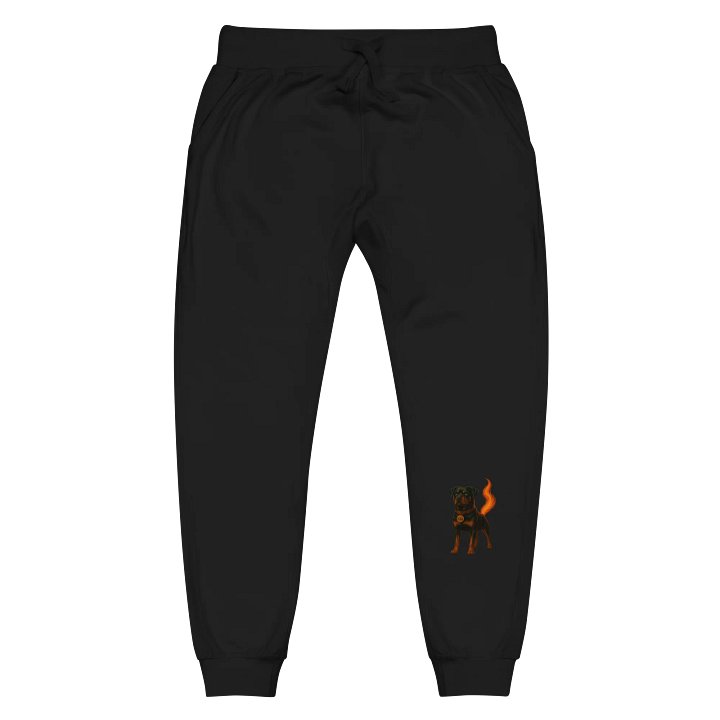 Blaze Joggers- Women product image (1)