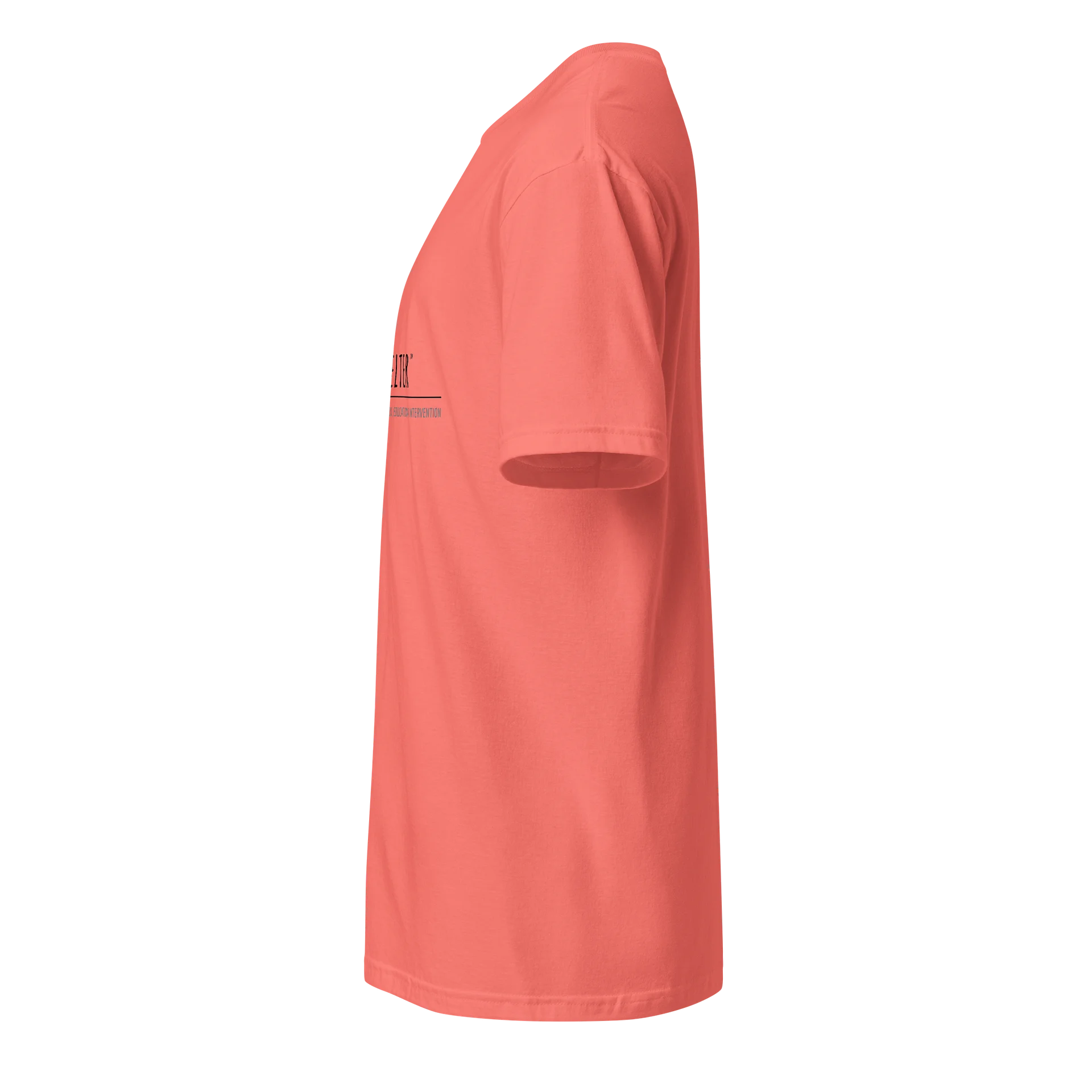 The Shelter Basic Tee product image (3)