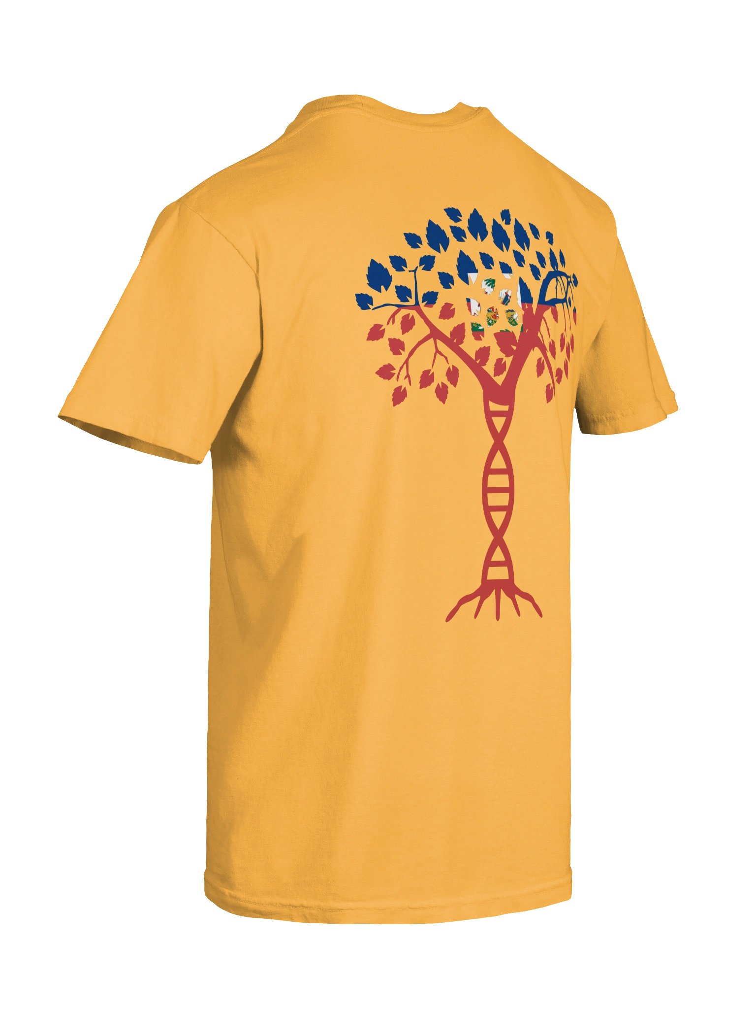 Haiti DNA Streetwear Tee product image (64)