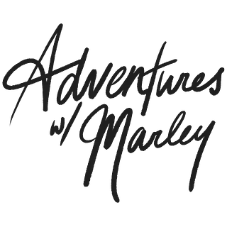 Adventures With Marley