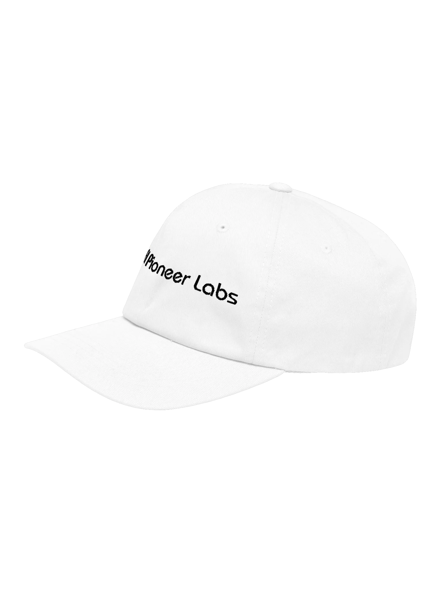 AI Pioneer Labs Cap — view 3
