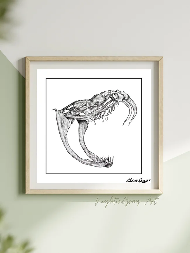 Skeletal Illustration
