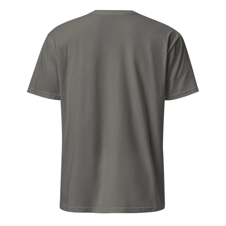 paro embroidered shirt product image (2)