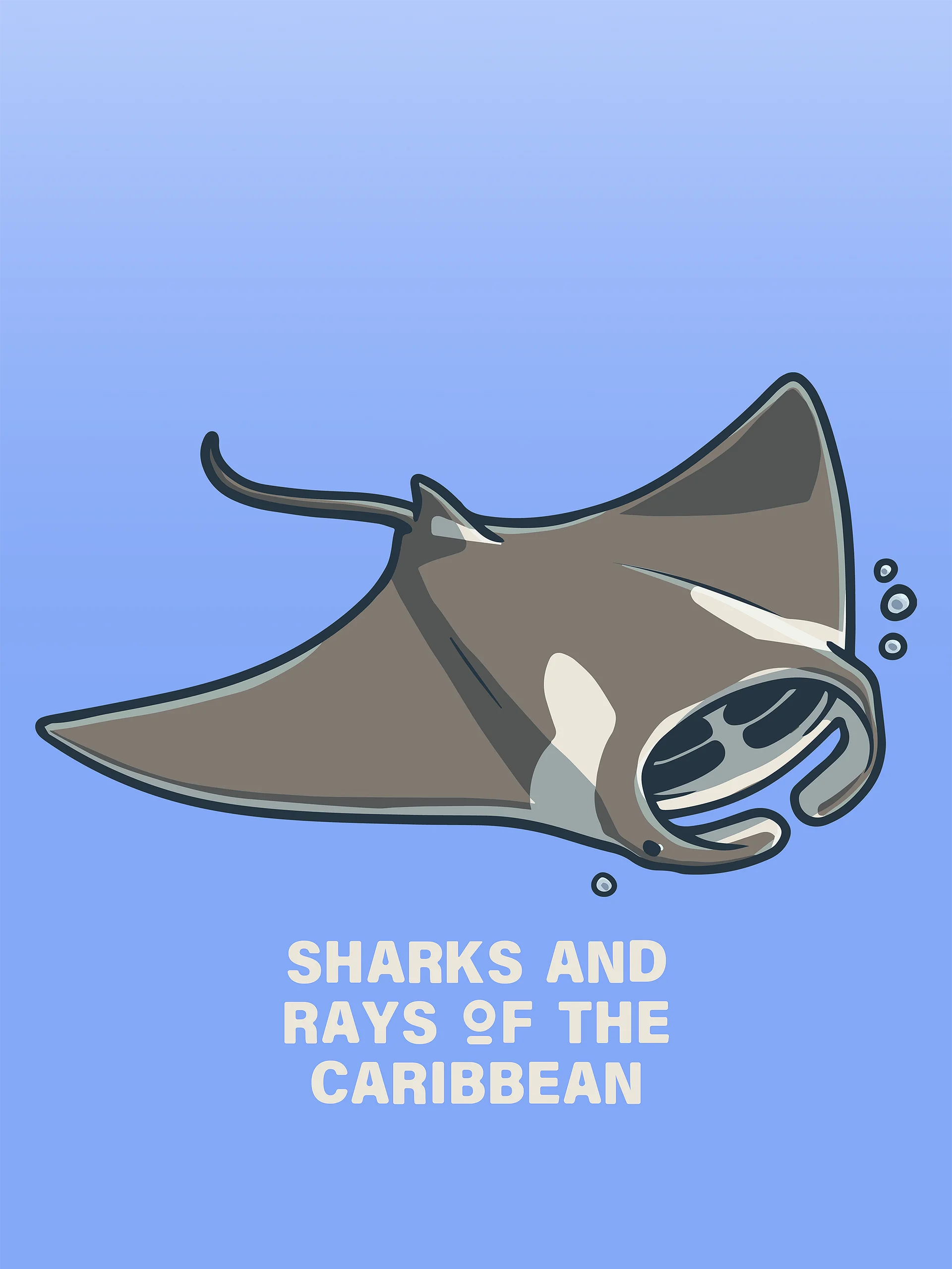 Sharks and Rays of the Caribbean - Icon Pack product image (4)