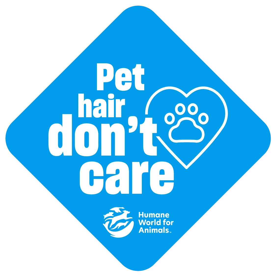 Companion animals stickers – Set of 4 product image (2)