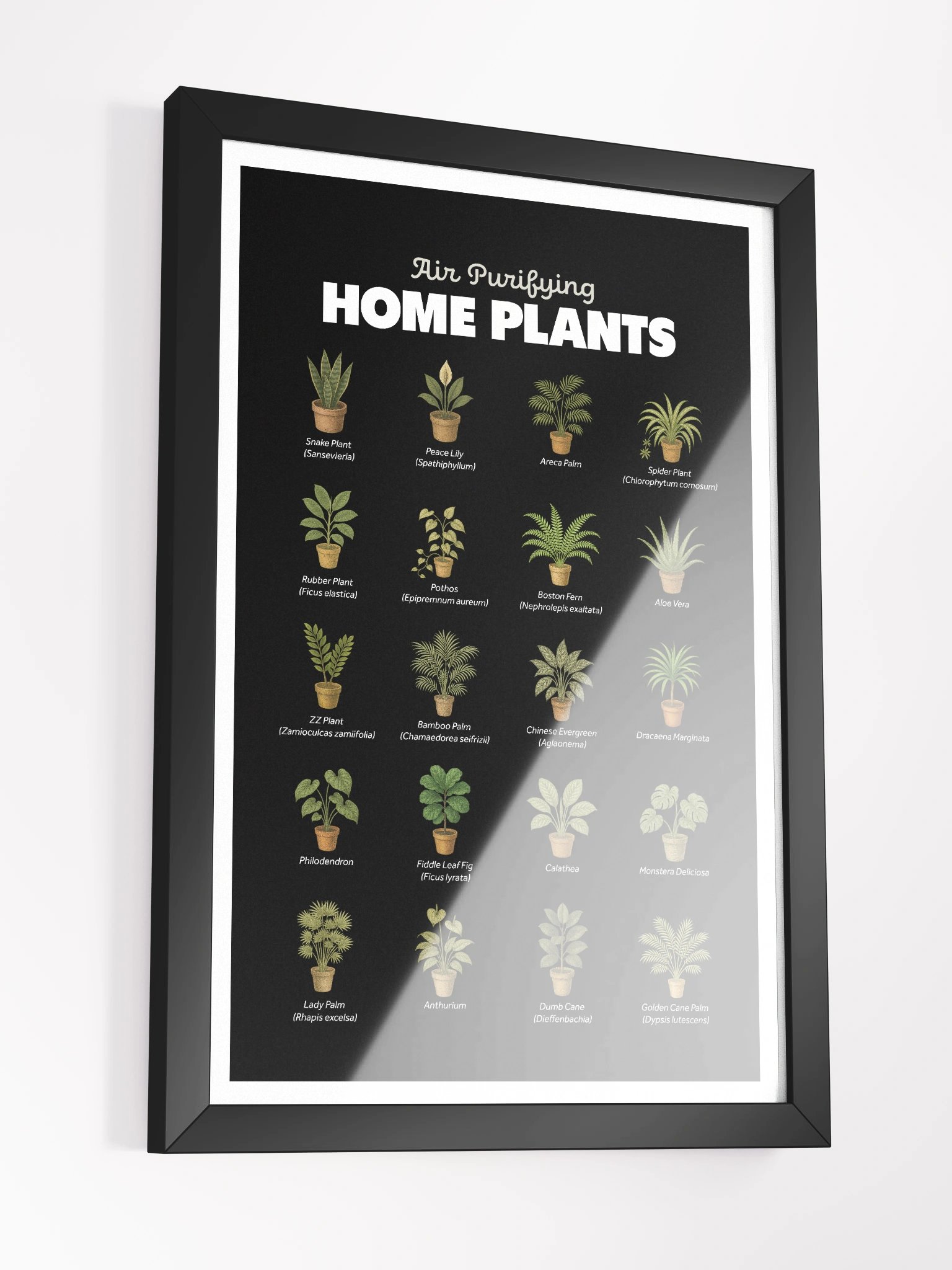 Air Purifying Home Plants Framed Art Print product image (7)