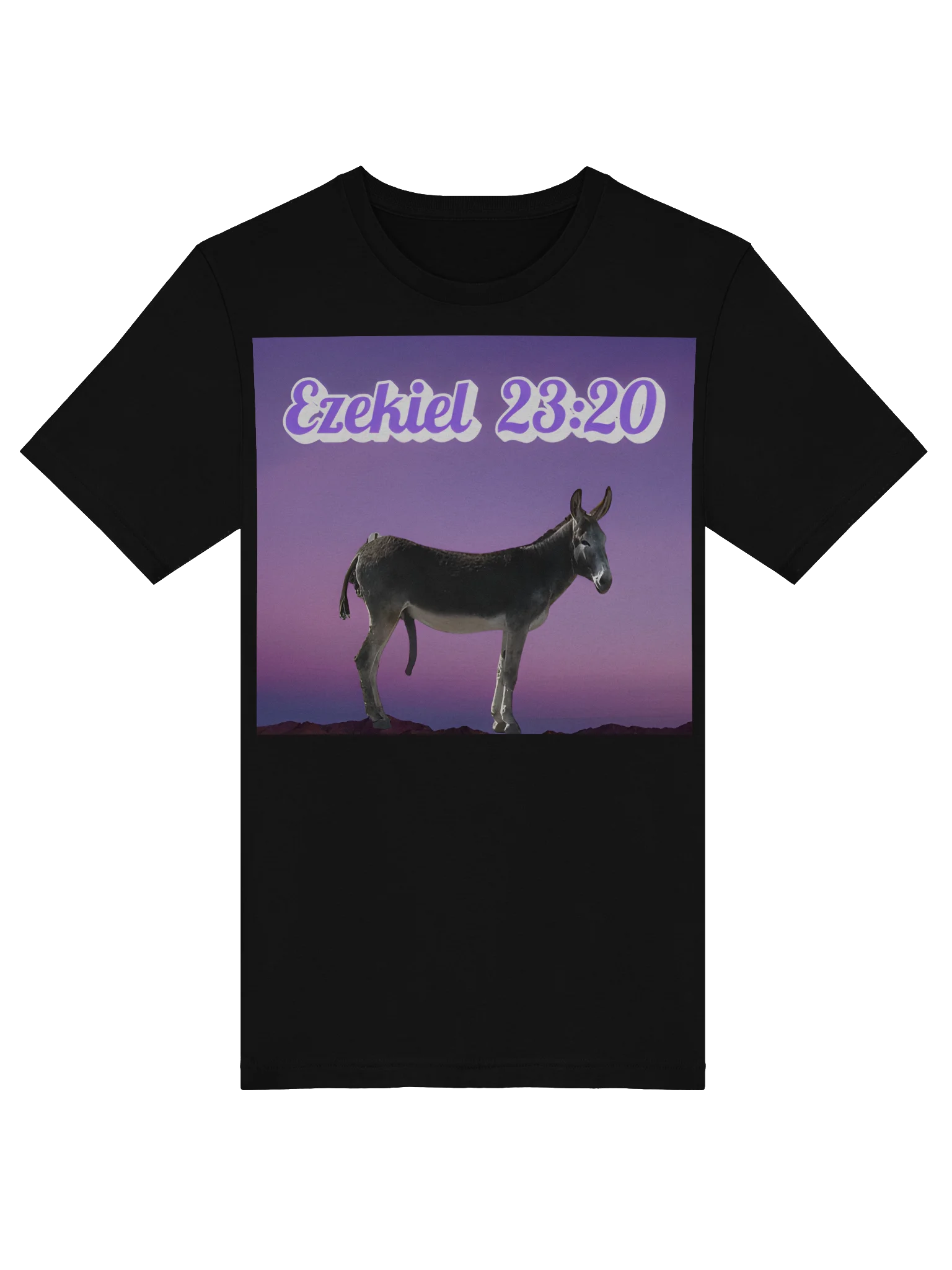 Ezekiel 23:20 Tee Shirt product image (5)