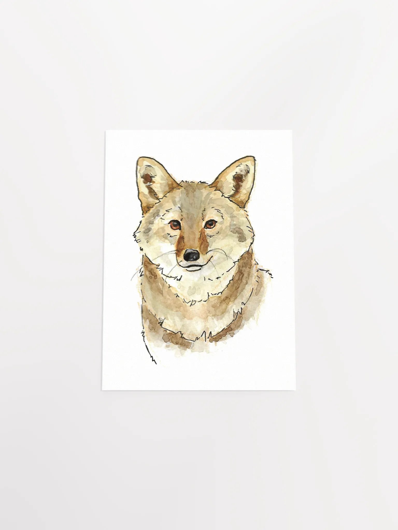 Watercolor Coyote Portrait - Art Print product image (25)