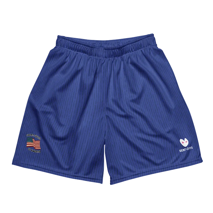 World Cup Underdog Project - USA Shorts product image (1)