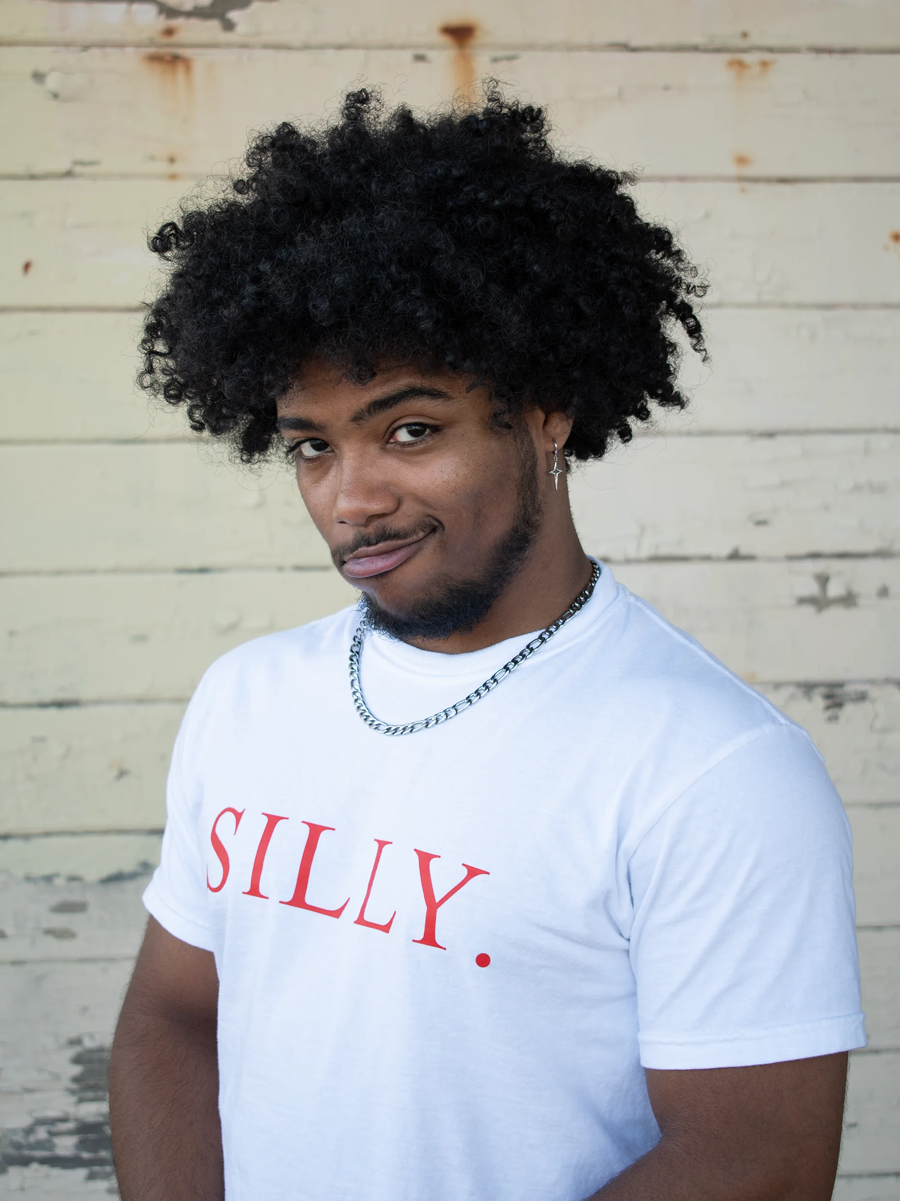 The Silly Shirt product image (34)