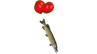 Fishing Enthusiasm Store