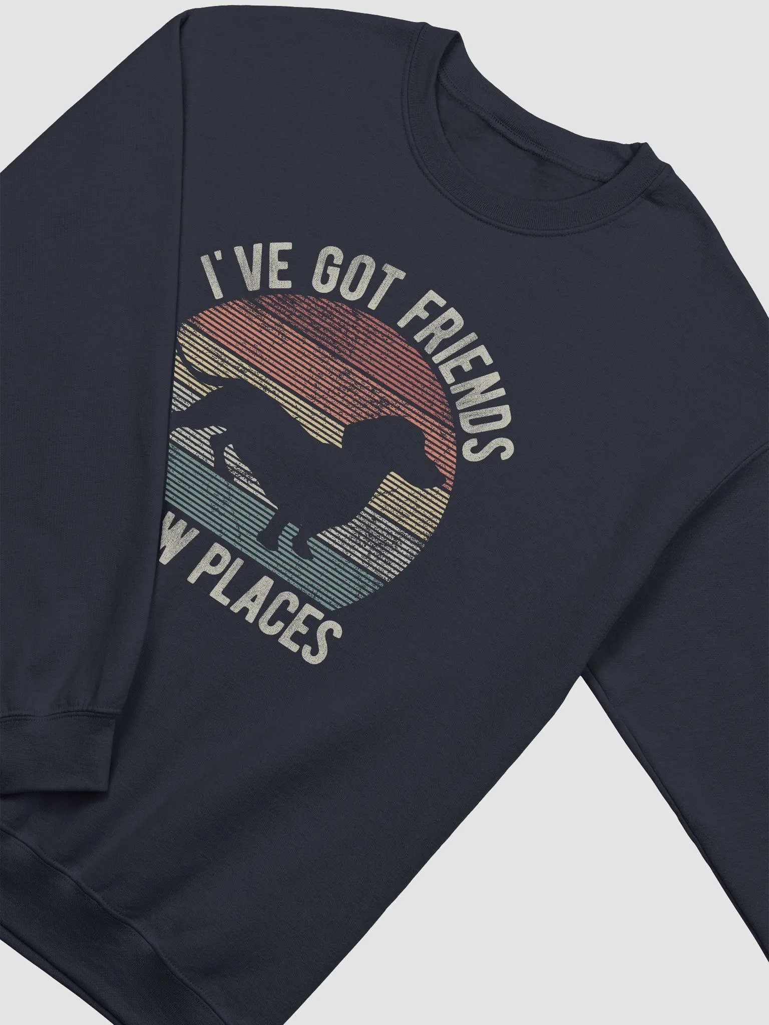 I've Got Friends in Low Places Dachshund Sweatshirt | Funny Vintage-Style Shirt for Wiener Pawrents product image (5)