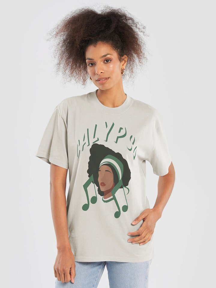 Calypso - Caribbean Apples | Premium Heavyweight Oversized Faded T-Shirt | 5 Colors product image (33)