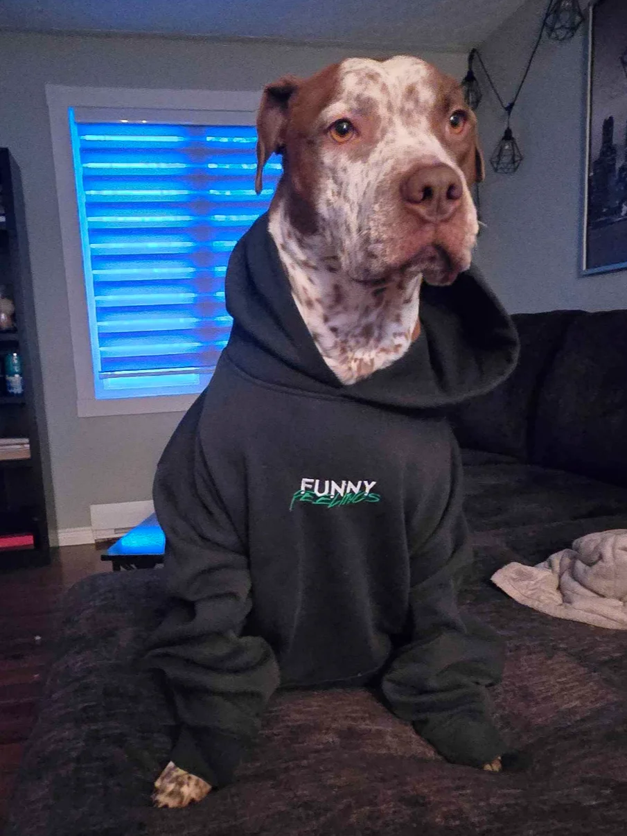 Embroidered Logo Hoodie (AS Colour) product image (9)