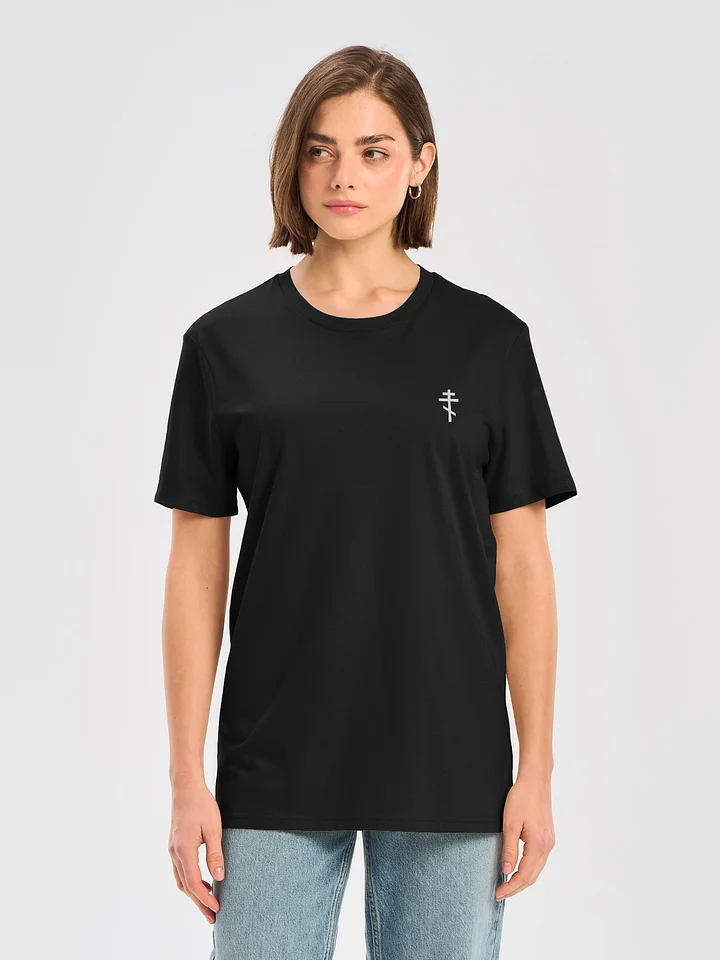 Chirst Has Risen T-Shirt product image (1)