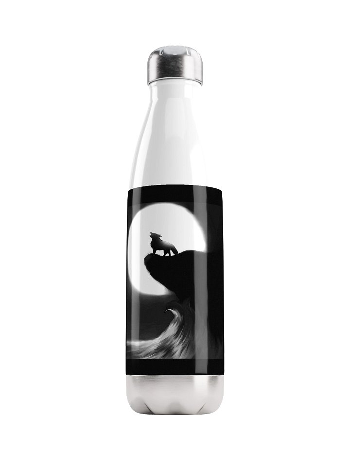 Stainless Steel Water Bottle product image (1)