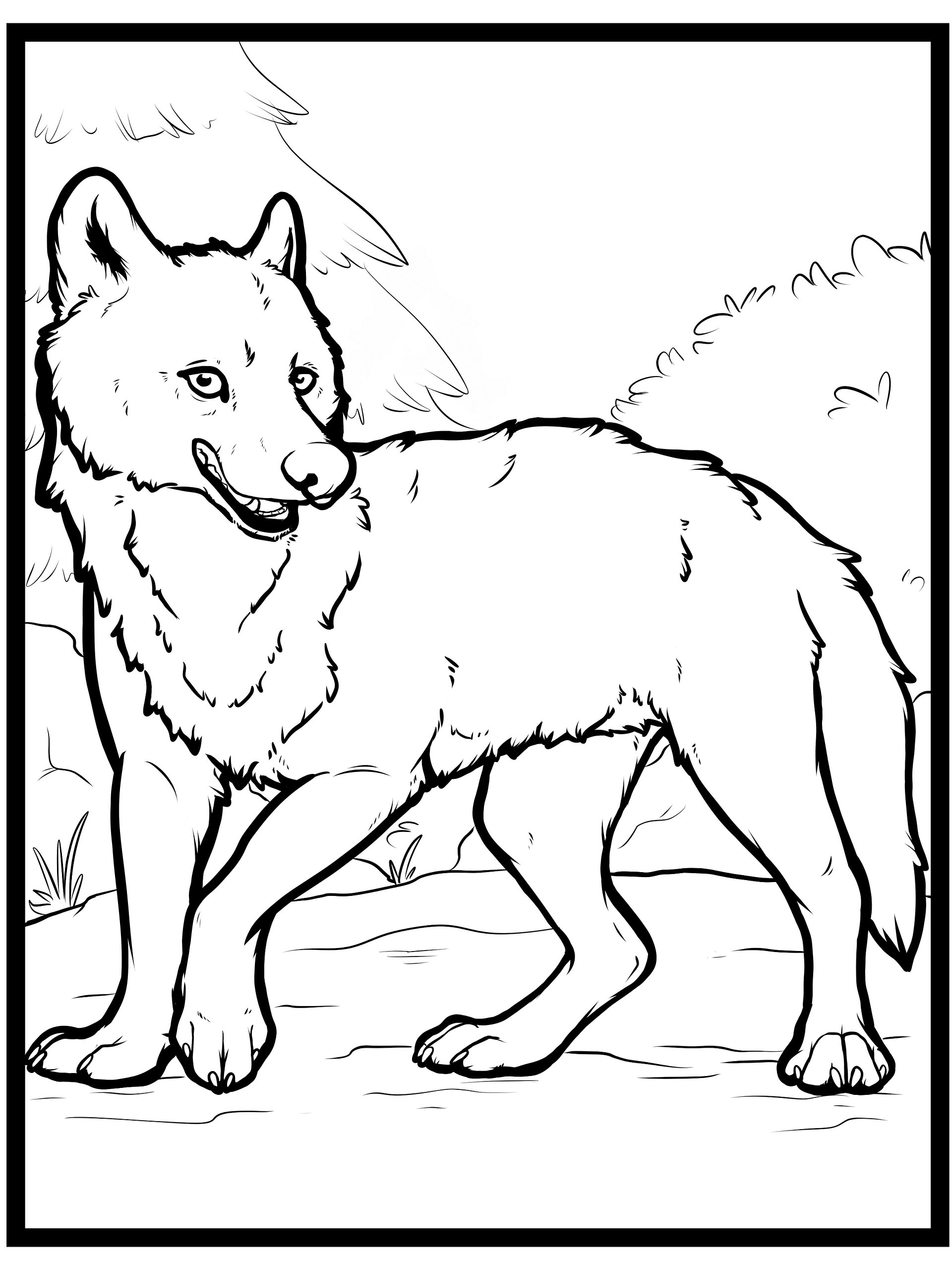 Mexican Grey Wolf - Coloring pages product image (3)