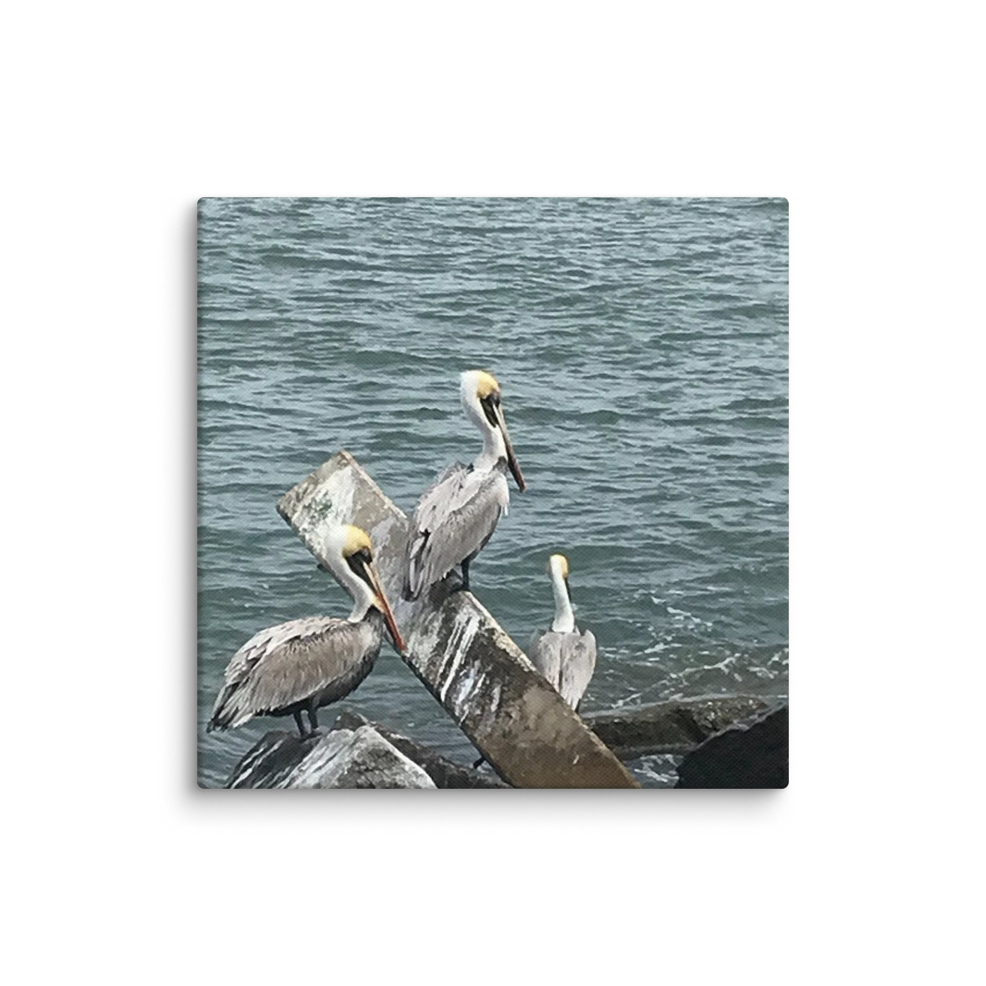 Coastal Observers Canvas Collection product image (4)