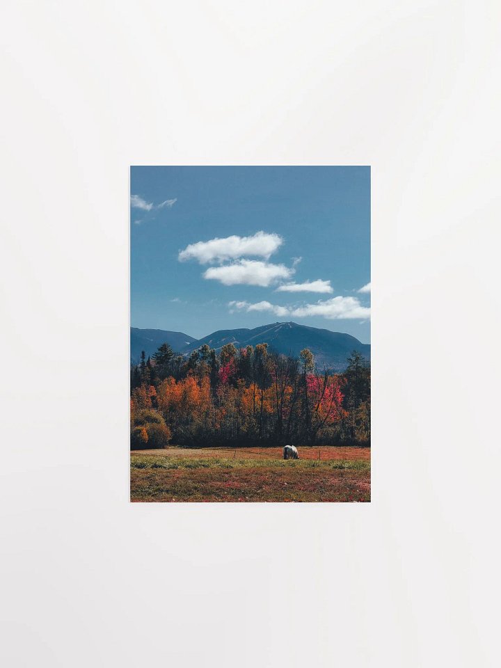White Mountain Horse product image (1)