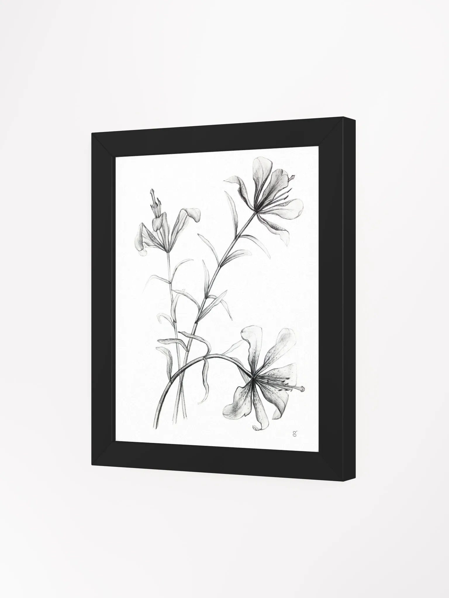 Ethereal Blossoms Framed Poster - Wild Elegant Flowers product image (7)