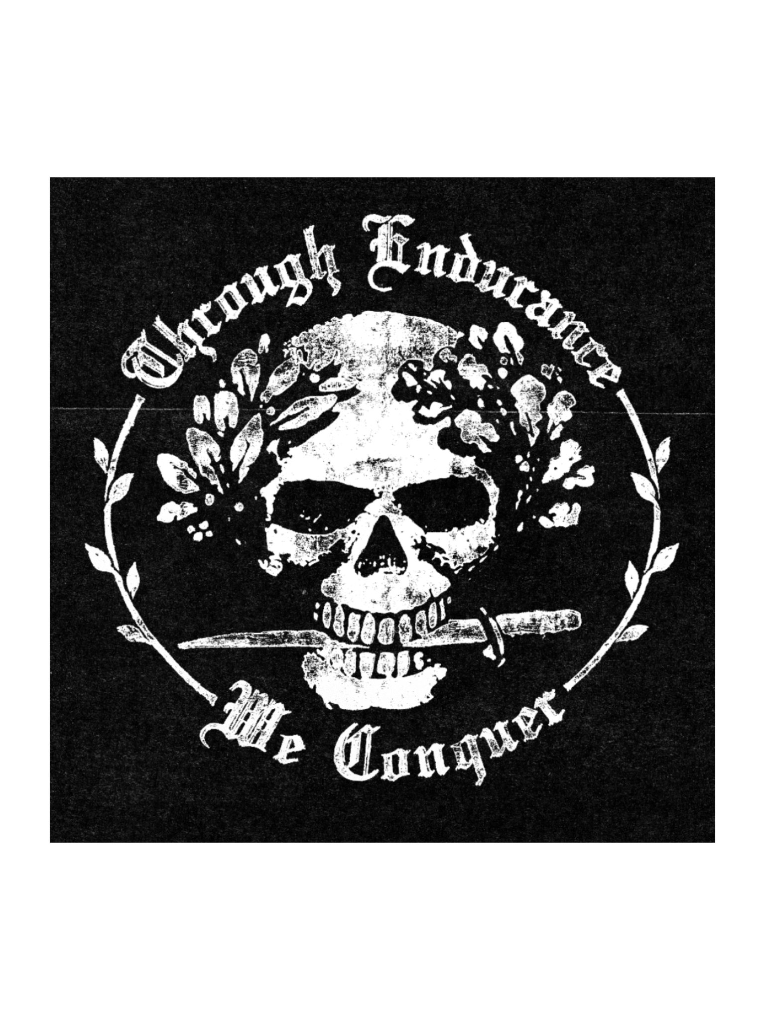 ENDURANCE LOGO STICKER product image (1)