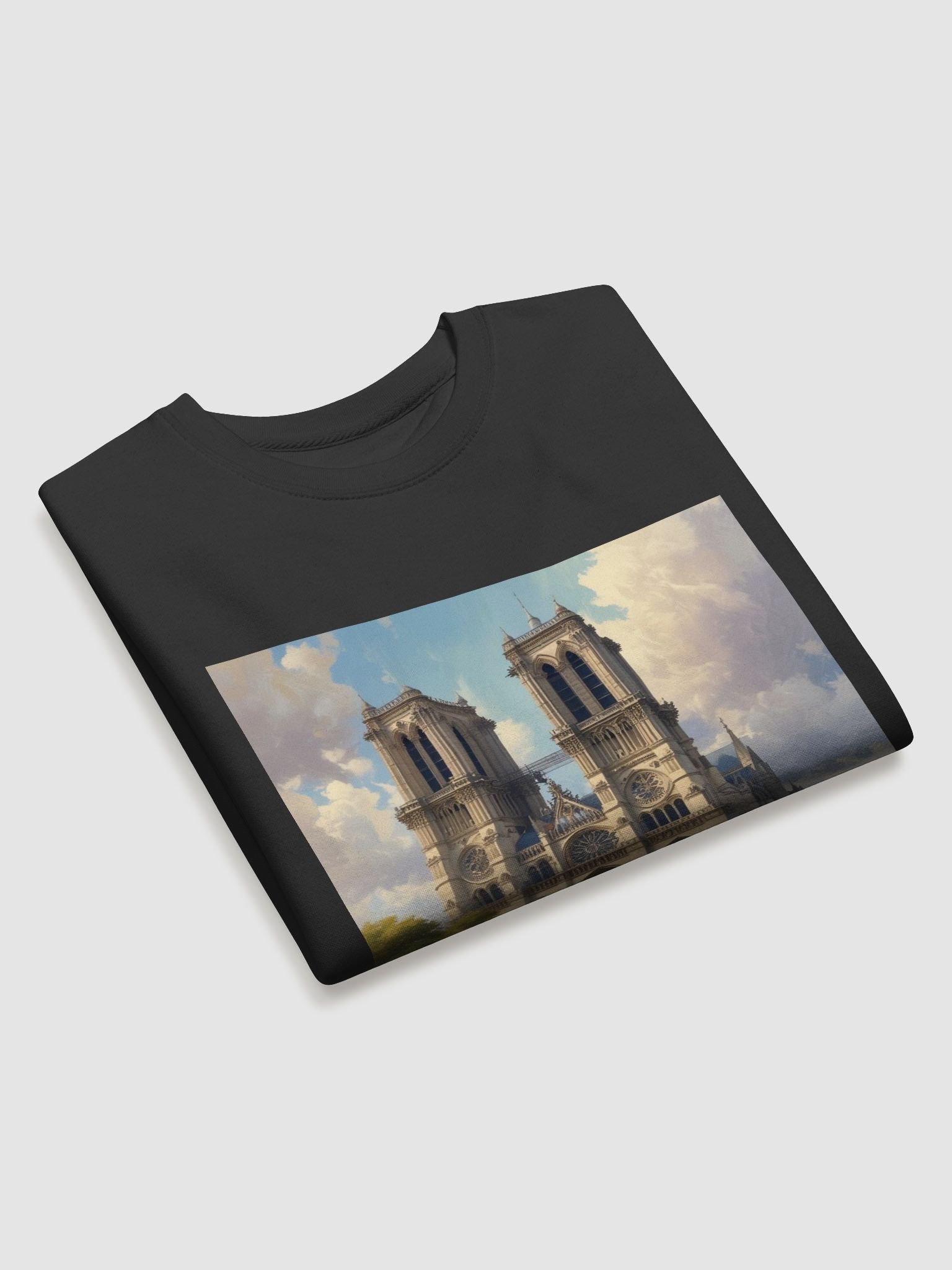 notre dame de paris product image (25)