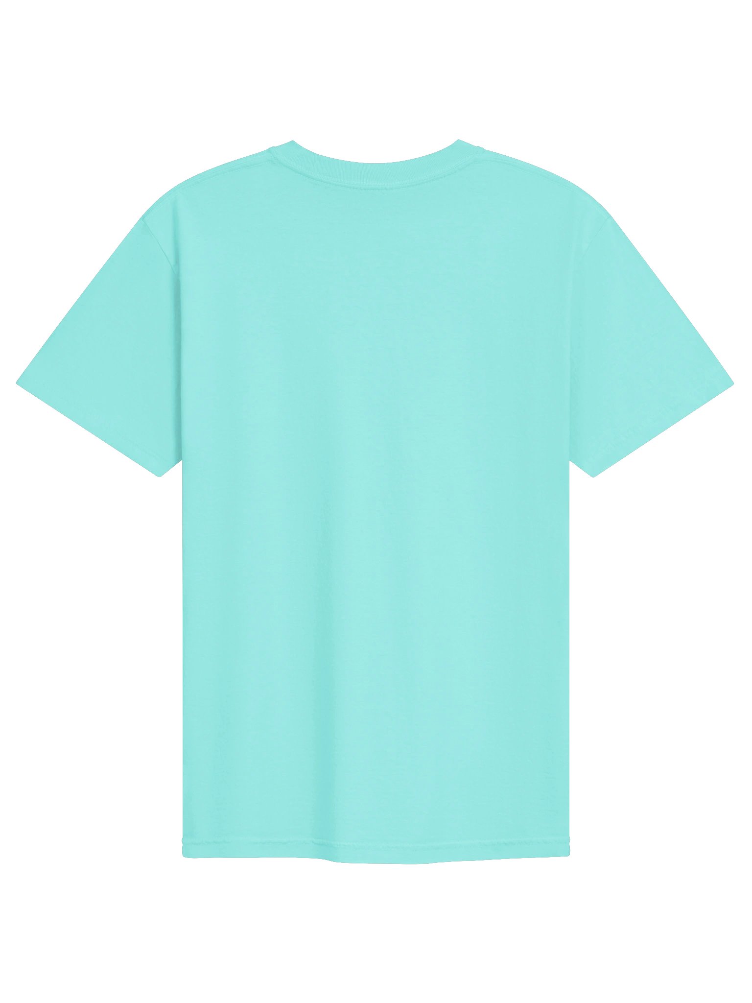 A School of Three-Stripe Damsels Embroidered Premium Shirt | Saltwater Reef Aquarium Fish & Marine Life Apparel product image (42)