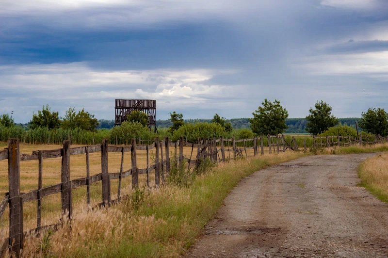 A dirt road curves beside a rustic wooden fence, open fields, and scattered trees