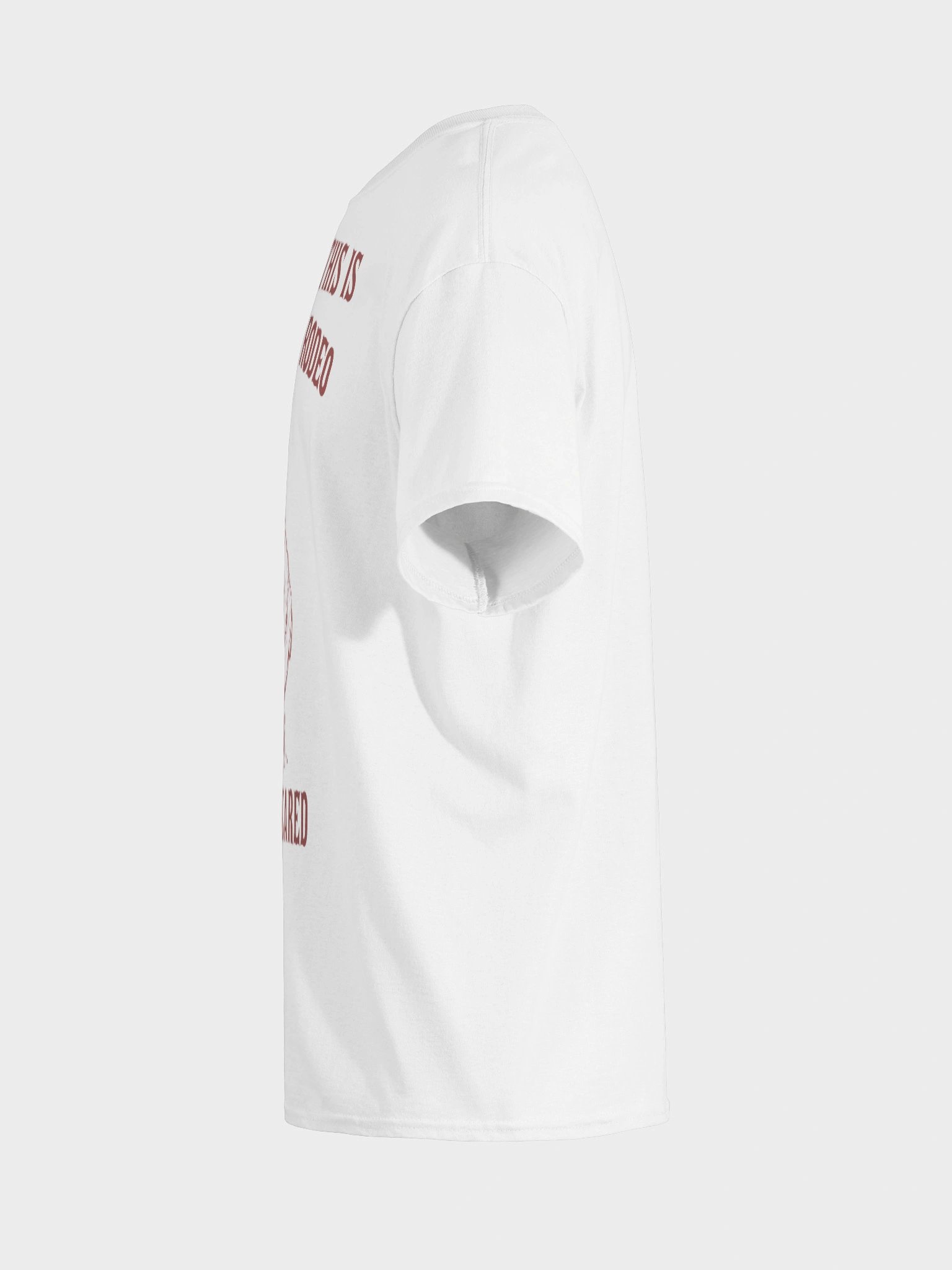 Actually this is my first rodeo product image (7)