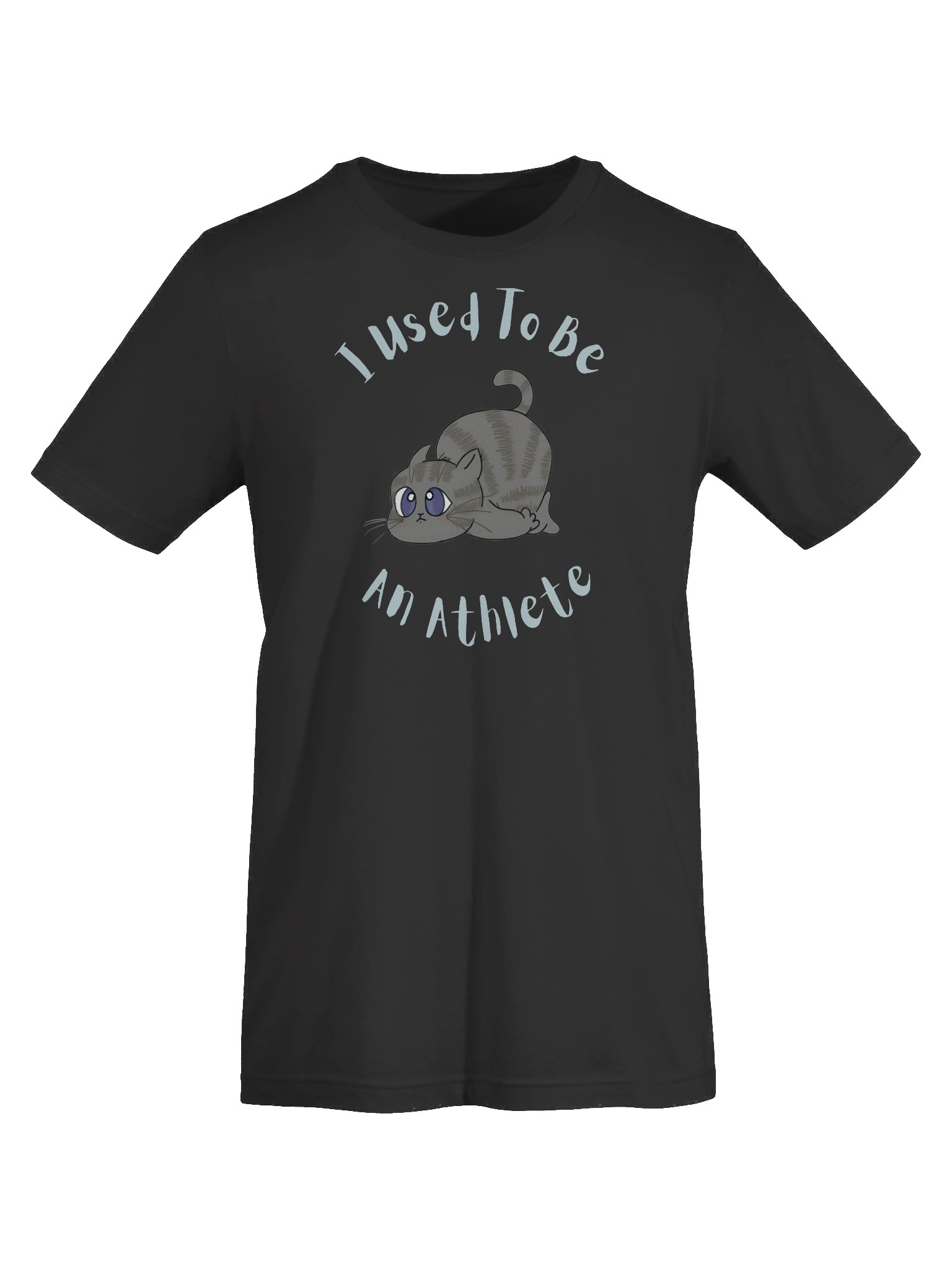 Chubby Cat Confession Tee product image (7)