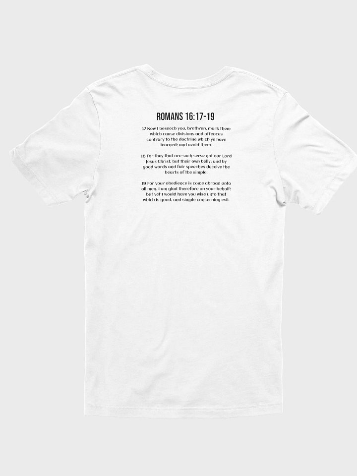Divide & Conquer (Short sleeve T) product image (2)