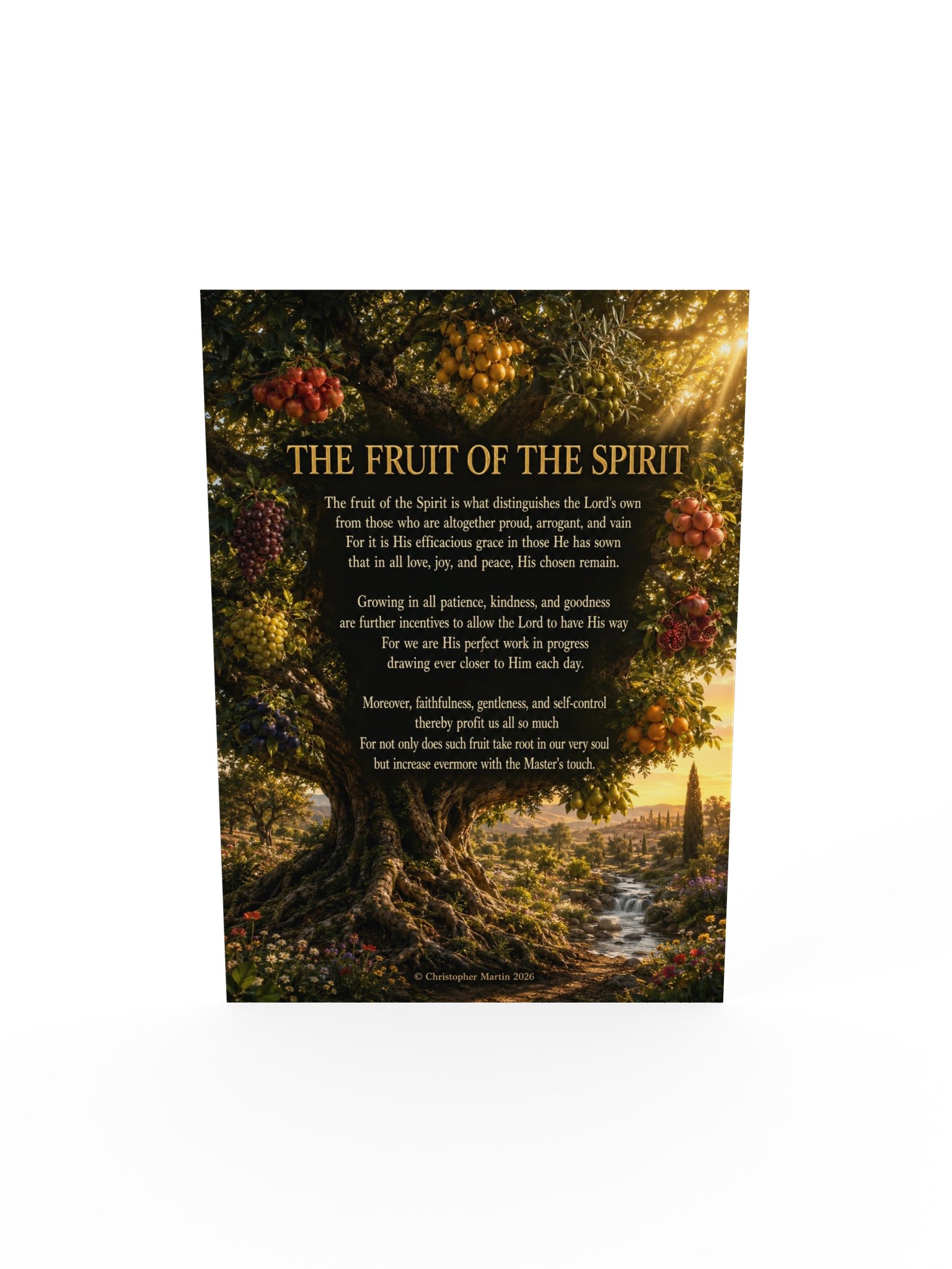 Fruits of the Spirit product image (5)