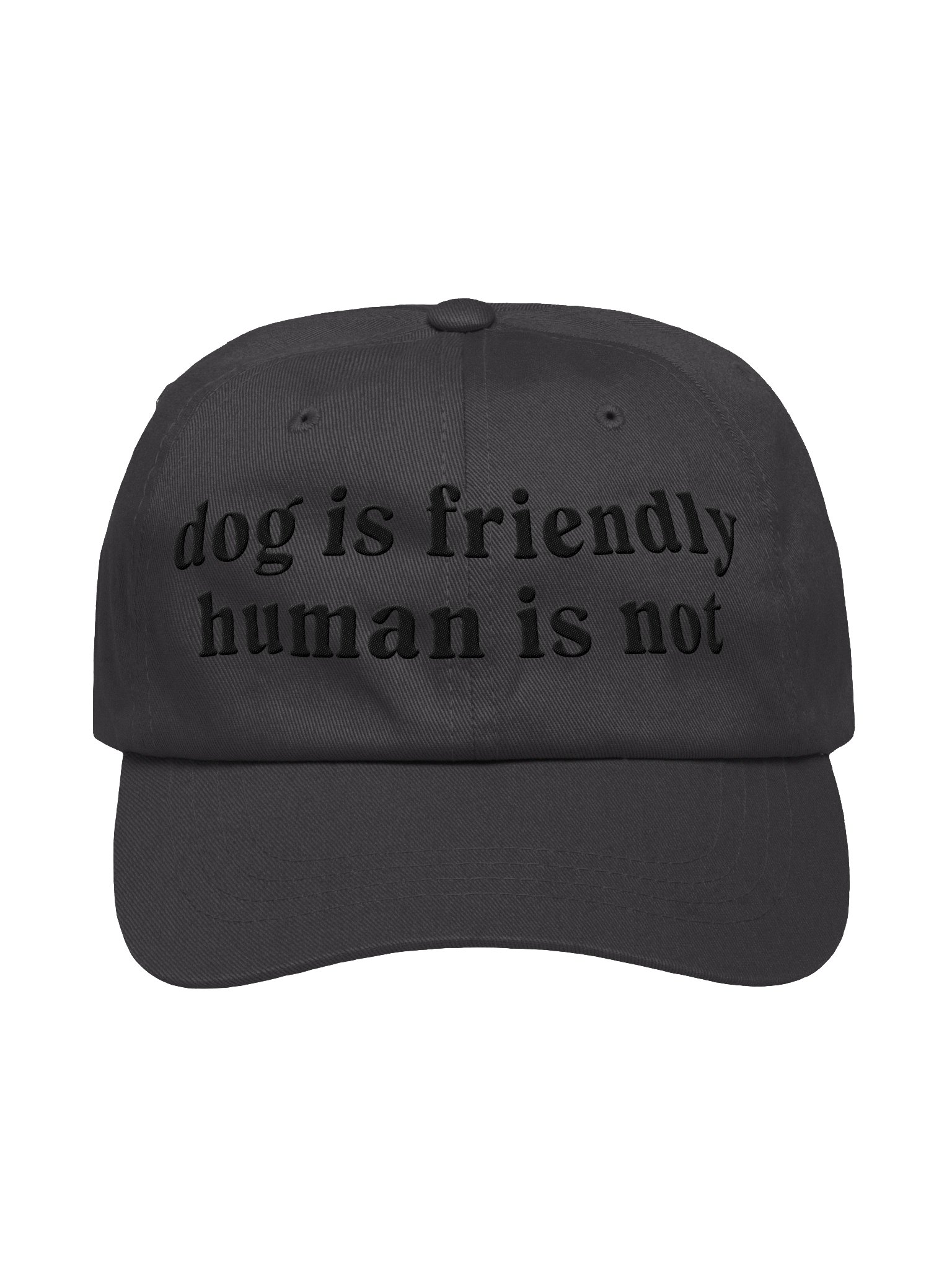Dog Is Friendly. Human Is Not Classic Dad Hat(Embroidered) Low Contrast(Black) product image (1)