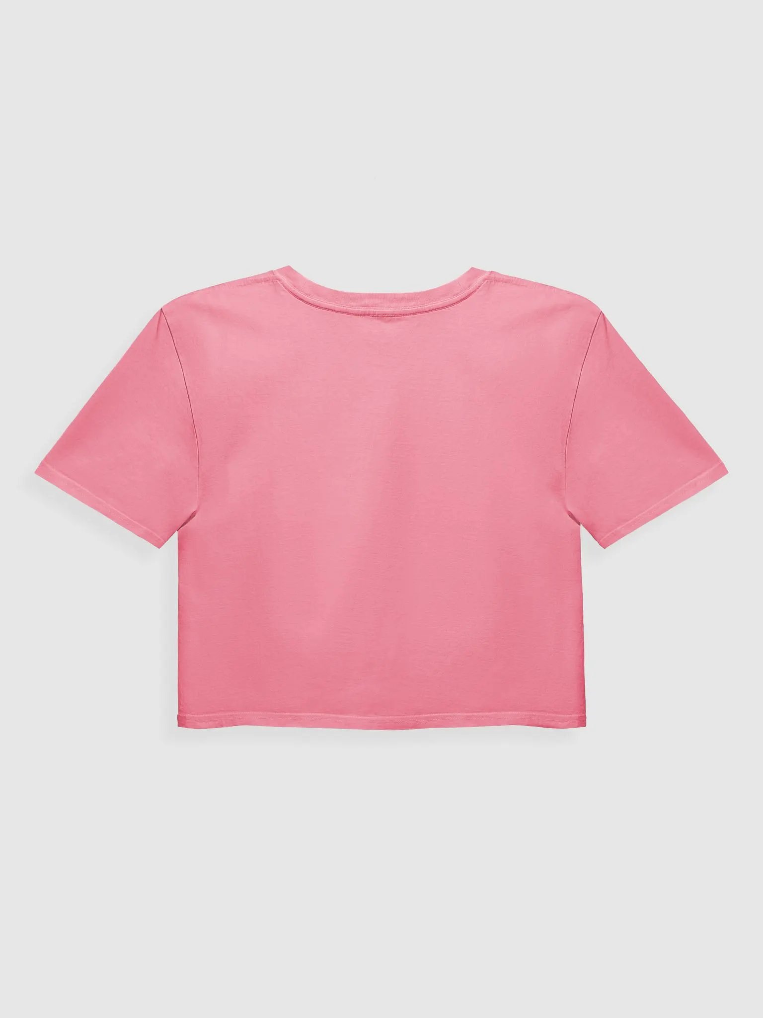 Renewable Energy Vintage Crop Top product image (12)